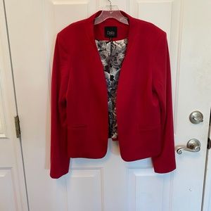 Deep Red Blazer. Gently worn. Size L.